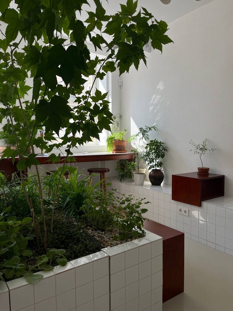 Интерьер кофейни Jinju